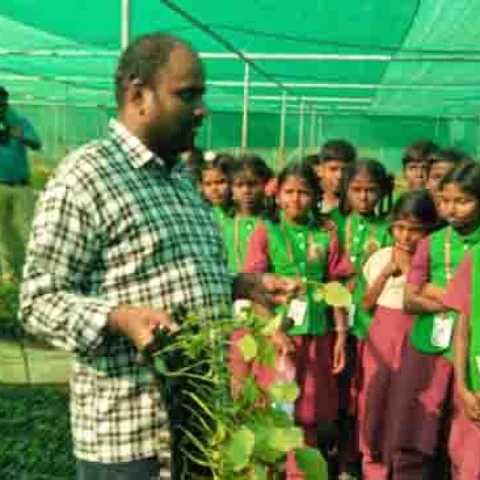 `செடிகளை ஒட்டு முறையில் வளர்ப்பது எப்படி?'- தோட்டக்கலை பண்ணைக்குச் சென்ற அரசுப்பள்ளி மாணவர்கள்