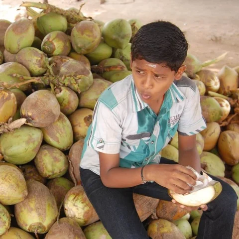 வெறும் வயிற்றில் இளநீர் குடிக்கலாமா?