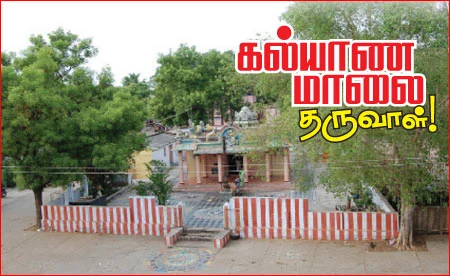 கல்யாண மாலை தருவாள்!