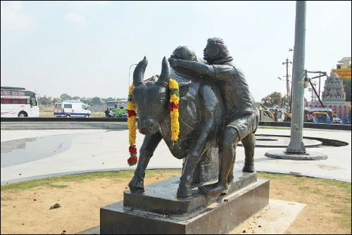 பொங்கல் சிறப்பிதழ்: 5 நிமிட வாசிப்பில் பசுமை விகடனின் 10 கட்டுரைகள்!