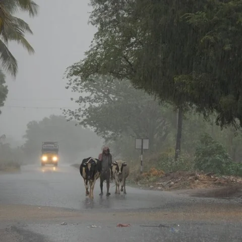 நாகையில் மையம் கொண்டுள்ள ‘கஜா’ - 6 மாவட்டங்களில் கன மழைக்கு வாய்ப்பு