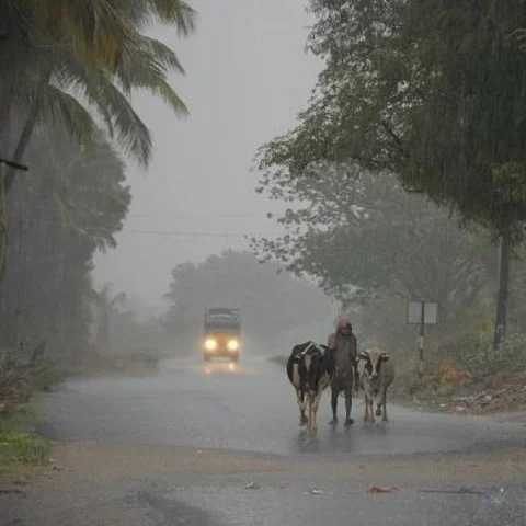 ‘கஜா புயல்’ முன்னெச்சரிக்கை - அவசர காலத் தொலைபேசி எண்கள் வெளியிட்ட புதுச்சேரி அரசு