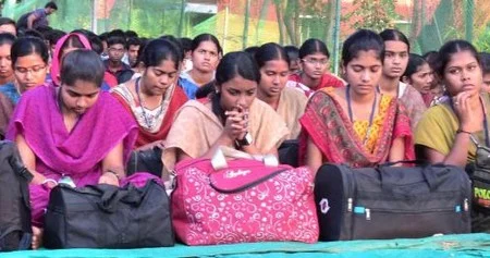 'தமிழக காடு வளர்ப்பு: ஜப்பானுக்கு இருக்கும் அக்கறை நமது அரசுக்கு இல்லையே...! '