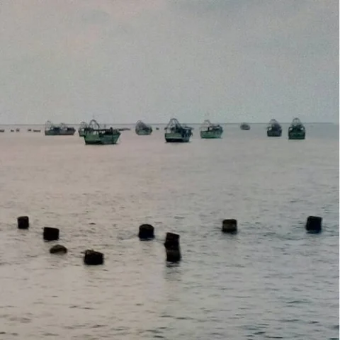 தமிழக மீனவர்களின் படகுகளை விடுவிப்பதாக இலங்கை அரசு அதிகாரபூர்வ அறிவிப்பு