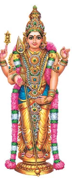 திருமண தோஷம் நீங்கும் !