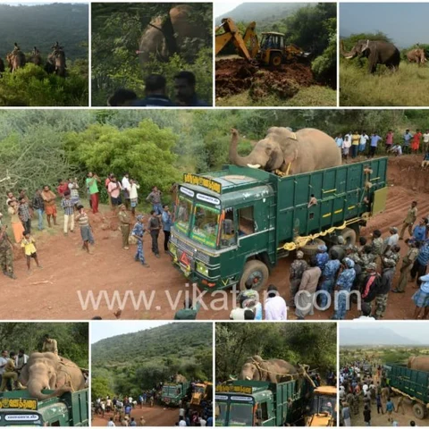 `டேய் விநாயகா சீக்கிரம் வந்துடு’- பிரியா விடைபெற்ற கோவை விநாயகன்