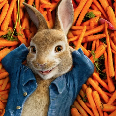 அப்பாவி முயல்களுக்குள் இத்தனை வன்முறையா... ஏன் Peter Rabbit இப்படி இருக்கிறது?