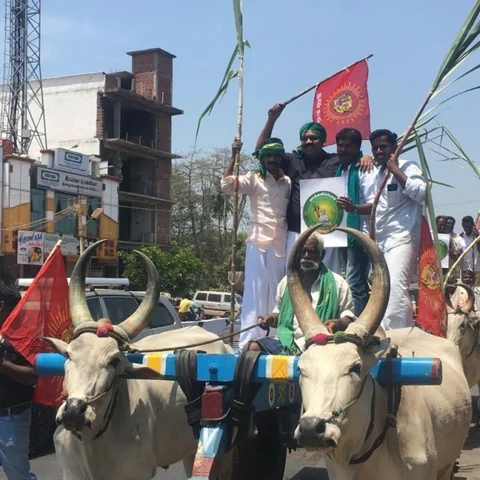 கையில் கரும்புடன் வந்து வேட்புமனுதாக்கல் செய்த நாம் தமிழர் வேட்பாளர் சாகுல் ஹமீது!