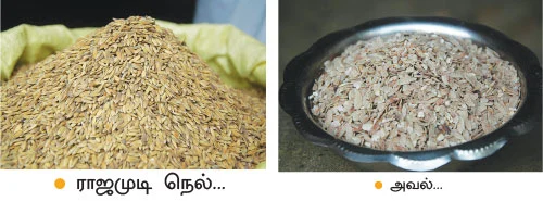 ‘‘இயற்கை விவசாயம் மட்டுமல்ல... தன்னம்பிக்கையும் வளருது!’’