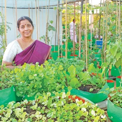 "மாடித்தோட்டம் மாதிரித்தோட்டம்!”