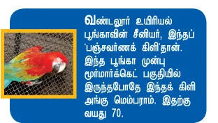 யானைக்கு ஷவர்... பாம்புக்கு ஏ.சி.!