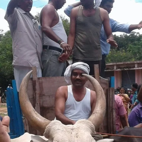 ஜாக்டோ-ஜியோ போராட்டம்! மாட்டு வண்டியில் வந்த தாசில்தார்!