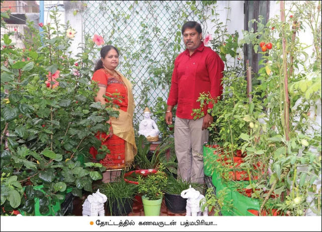 பொங்கல் சிறப்பிதழ்: 5 நிமிட வாசிப்பில் பசுமை விகடனின் 10 கட்டுரைகள்!