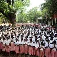 மில்க் ஷேக் குடித்த 50 குழந்தைகளுக்கு வாந்தி மயக்கம்!