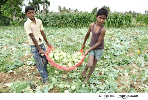 50 சென்ட்... 60 நாள்... 60 ஆயிரம்...