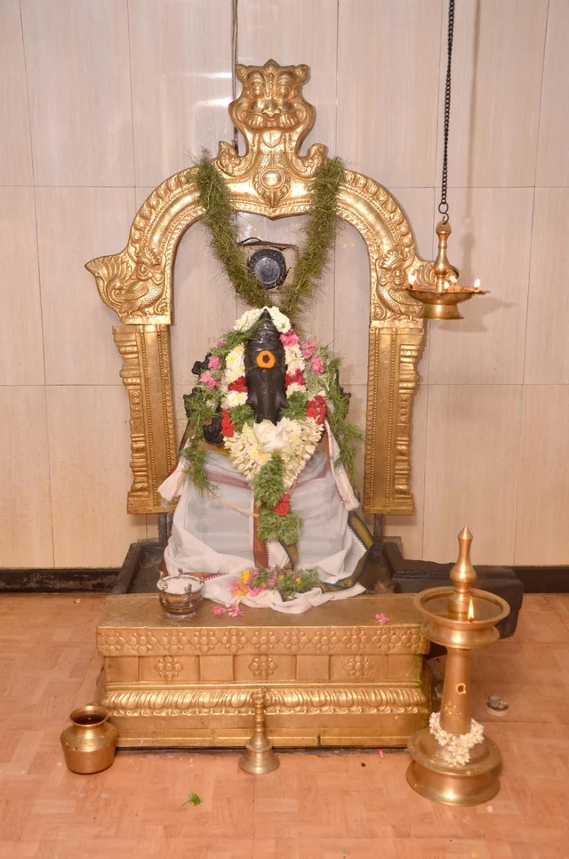 பட்டாணி ராவுத்தர் காவல்காக்கும் ஆதிகோரக்கநாதர்... திருபுவனத்தில் கோயில்கொண்ட சித்த புருஷர்!