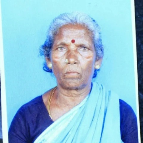 நெடுவாசல் போராட்டத்தில் பெண் ஒருவர் பலி!