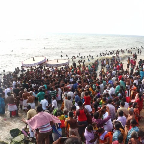 கடலூர் மாவட்டத்தில் மாசி மகத் திருவிழா தீர்த்தவாரி வைபவம் கோலாகலம்!