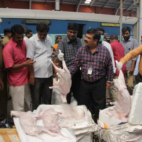 `வந்தது மாட்டிறைச்சி அல்ல; நாய் இறைச்சி!’ - எழும்பூர் ரயில் நிலையத்தில் அதிகாரிகள் ஷாக்