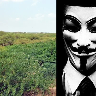 விவசாயத்தை கருவறுக்கிறதா கருவேல மரங்கள்? - ஒரு அலசல் ரிப்போர்ட் #WhereIsMyGreenWorld