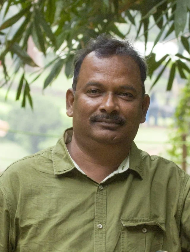 விஷம் வைத்துக் கொன்ற மனிதர்கள்; இறந்தும் குட்டிகளைக் காப்பாற்றிய குரங்குகள்... நீலகிரி சோகம்!