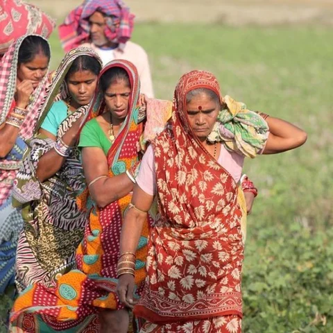 மீண்டும் வாய்ப்பளித்த பழங்குடிகள்... பிரச்னைகளைத் தீர்க்குமா புதிய அரசு?!