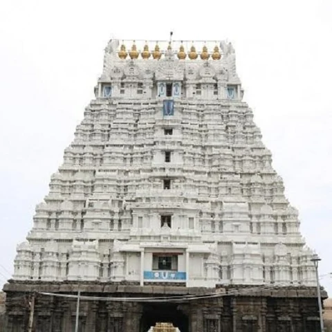 அத்திவரதர் தரிசனத்துக்காக அனந்தசரஸ் குளத்தில் நீர் இறைக்கும் பணி தொடங்கியது!
