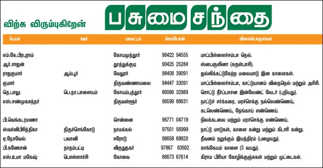 பசுமை சந்தை