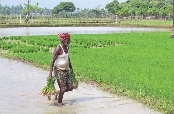இப்போது சரியில்லை... நம் முன்னோர்கள் நீர் மேலாண்மை எப்படியிருந்தது?