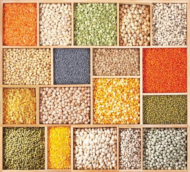 Agri Export for abundant income... Successful strategies! Part 10