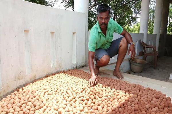 `விதைப்பந்துகள் மட்டுமல்ல... 1 கோடி மரக்கன்றுகள் நடப்போறேன்!' - கடலூர் இளைஞரின் அசத்தல் முயற்சி