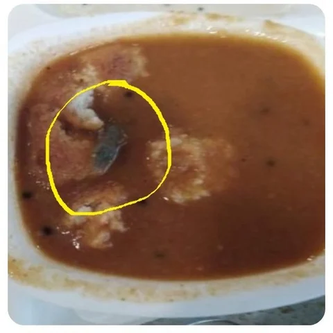 சாம்பார் வடையில் கிடந்த பல்லி... நாக்பூரில் உணவகத்துக்கு `சீல்’ வைத்த அதிகாரிகள்!