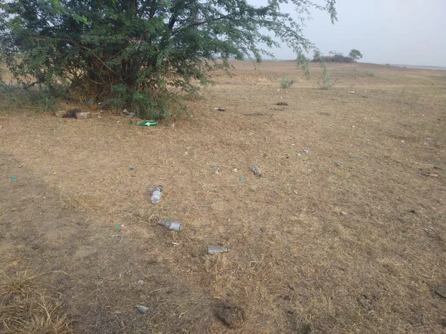 ஆக்கிரமிப்பு, அசுத்தம், அட்டூழியம்... புழல் ஏரியின் தற்போதைய நிலை! #SpotVisit