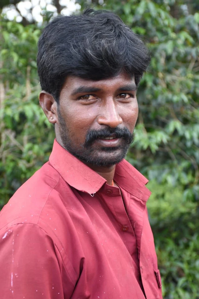 விஷம் வைத்துக் கொன்ற மனிதர்கள்; இறந்தும் குட்டிகளைக் காப்பாற்றிய குரங்குகள்... நீலகிரி சோகம்!