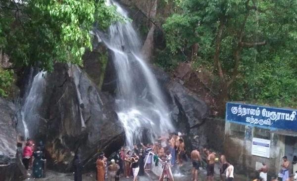 `டல்' அடிக்கும் மெயின் அருவி; குதூகலத்தில் ஐந்தருவி!'- குற்றாலத்தில் தொடங்கியது சீசன்