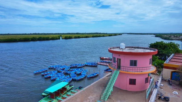 `அலையாத்திக் காடுகளின் ஊடே நீண்ட நேரம் படகு சவாரி செய்யணுமா?' பிச்சாவரம் வாங்க #MyVikatan