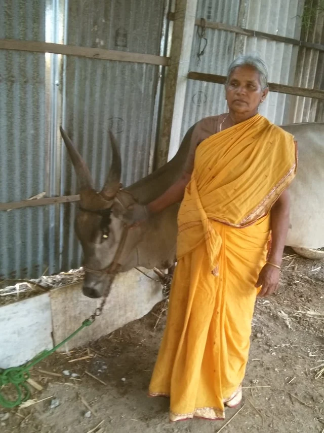 அம்முச்சி சின்னமணி