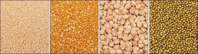 Agri Export for abundant income... Successful strategies! Part 10