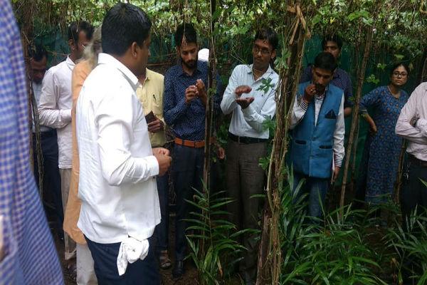 2.5 ஏக்கரில் 12 லட்சம் வருமானம்... 'அடுக்கு விவசாயத்தில்' அசத்தும் இளைஞர்!