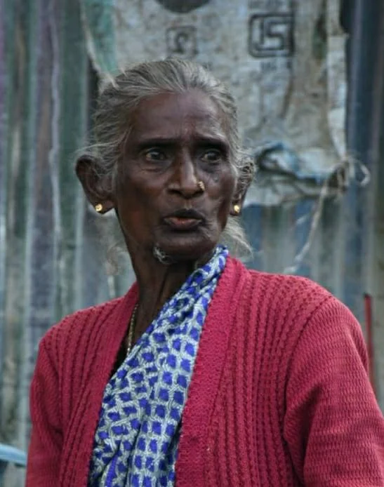விஷம் வைத்துக் கொன்ற மனிதர்கள்; இறந்தும் குட்டிகளைக் காப்பாற்றிய குரங்குகள்... நீலகிரி சோகம்!