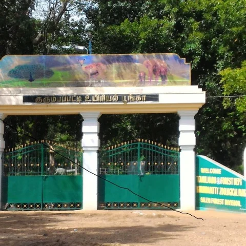 மாற்றுத்திறனாளியின் வாழ்வாதாரத்தைப் பறிக்கிறதா? - சேலம் வனத்துறையைச் சுற்றும் சர்ச்சை