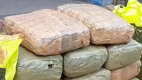 நாகையில் வீட்டில் கஞ்சா பதுக்கிய கும்பல்