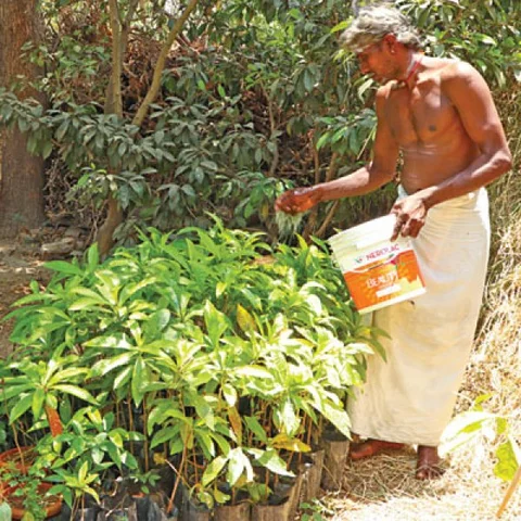 புண்ணிய புருஷர்கள் - 5