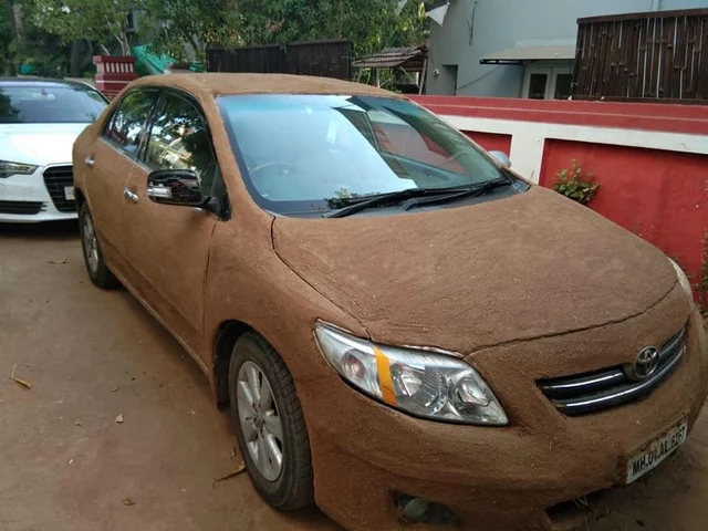 `வெயில் கொடுமை தாங்கல!' - மாட்டுச் சாணத்தால் காரை மெழுகிய `பலே' ஓனர்