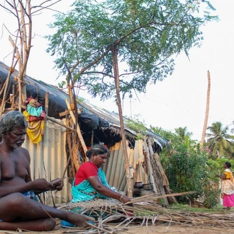“ஒரு கீற்றுக்கு 75 பைசா... கேள்விக்குறியான வாழ்வாதாரம்!’’ - குமுறும் தொழிலாளி #MyVikatan