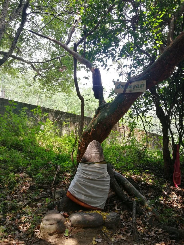 ``மான் சத்தம் கேட்டதுக்கு அப்பறம்தான் பொங்கல் வச்சிப் பலிகொடுப்போம் " - ஆச்சர்யமூட்டும் கொட்டக்குடி அய்யனார் வழிபாடு!