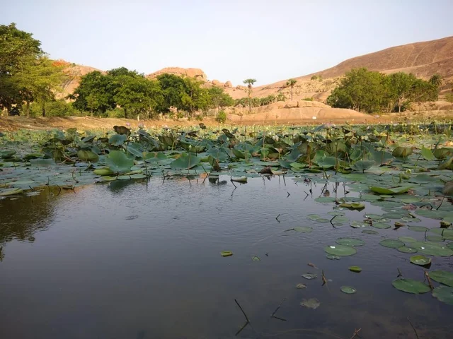 'எங்களுக்கு மினரல் வாட்டரே இதுதான்!' எப்போதும் வற்றாத மேலூர் தர்மக்குளம்