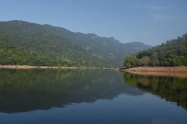மீண்டும் வாய்ப்பளித்த பழங்குடிகள்... பிரச்னைகளைத் தீர்க்குமா புதிய அரசு?!