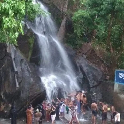 `டல்' அடிக்கும் மெயின் அருவி; குதூகலத்தில் ஐந்தருவி!'- குற்றாலத்தில் தொடங்கியது சீசன்