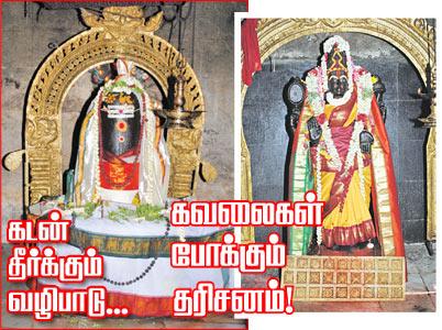 நெகிழி அரக்கனுக்கு எதிராகக் களமிறங்கிய சாரநாதப் பெருமாள் ஆலய நிர்வாகம்... இன்று உலக சுற்றுச்சூழல் தினம்!